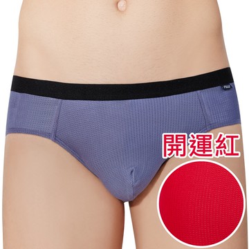 【SOLIS】鋅能量系列M-XXL素面貼身三角男褲(開運紅)