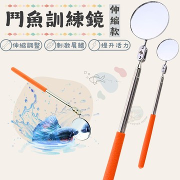 【彼得貓水族】鬥魚訓練鏡 伸縮訓練鏡 伸縮折疊鏡