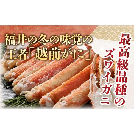 ふるさと納税 福井県産 越前がに×1杯（プロトン凍結） 福井県高浜町