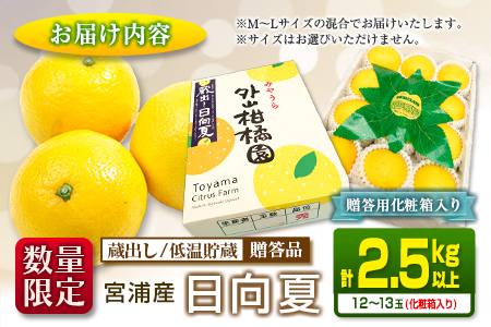 ≪数量限定≫宮浦産蔵出し日向夏(計2.5kg以上)　フルーツ　果物　柑橘　みかん　国産 BA53-23