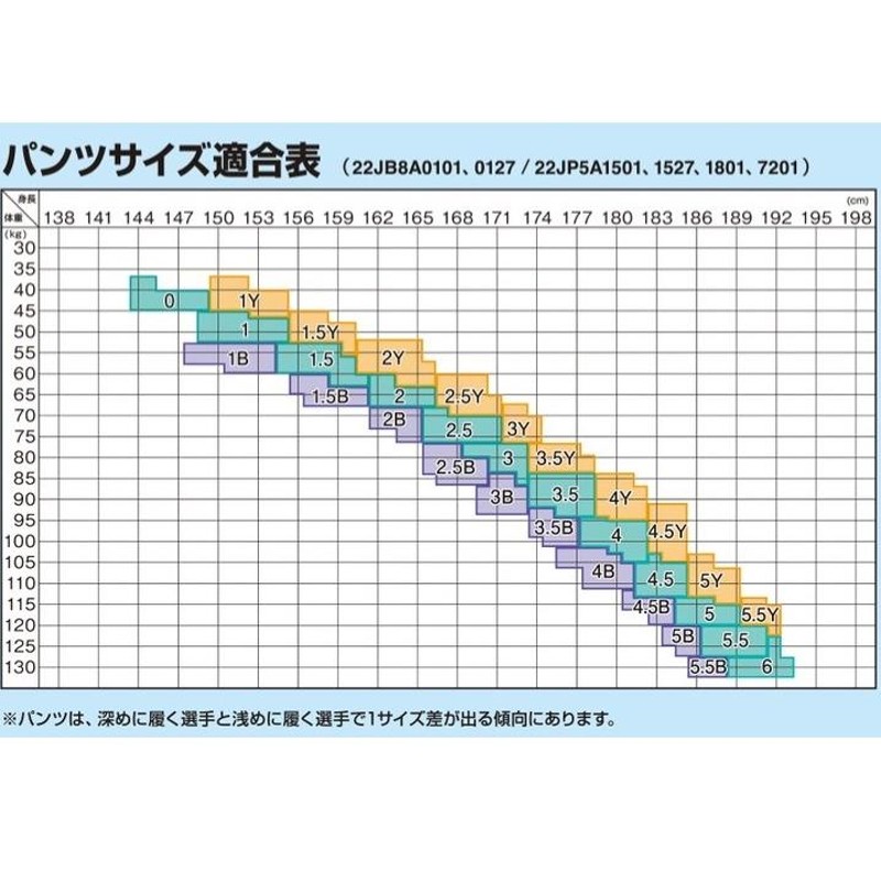 ミズノ 全柔連規格 IJF公認 柔道着 優勝 22JP5A1801 柔道ズボン 柔道