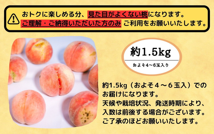 ◆2024年夏発送◆＜ 産直・訳あり桃・約1.5kg ＞ ※着日指定不可 ※北海道・沖縄・離島への配送不可 ※2024年7月中旬～9月中旬頃に順次発送予定