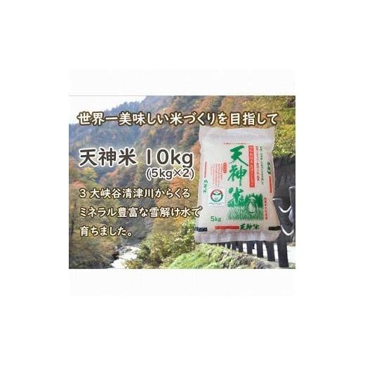 ふるさと納税 新潟県 十日町市 令和5年度新米　新潟魚沼産コシヒカリ 天神米 5kg×2袋