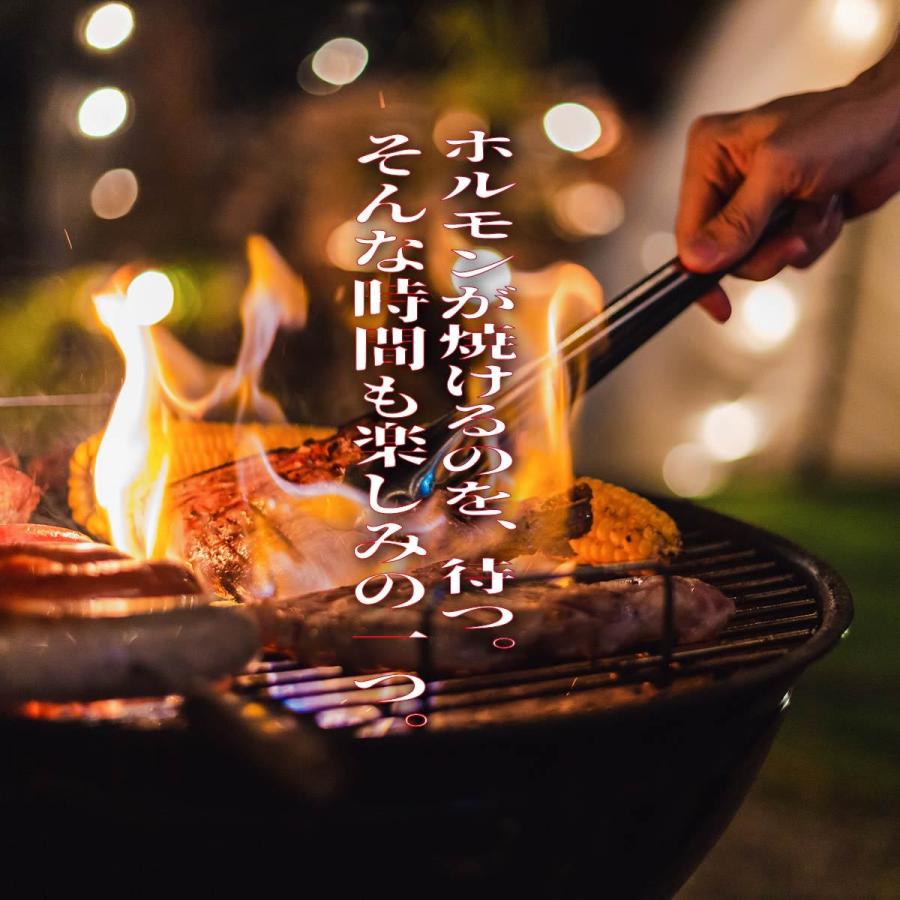 豚ホルモン１本焼50cm　約500ｇ　バーベキュー　BBQ　焼肉　白モツ　ゆでモツ　キャンプ