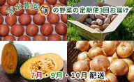 ＜2024年7月中旬よりお届け＞「清水農園」旬の野菜の定期便（3回お届け）