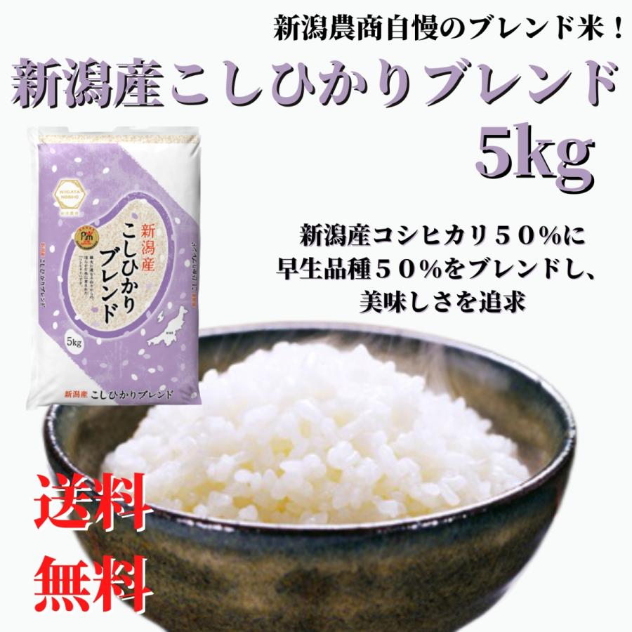 新米 令和５年産 お米 5kg 白米 送料無料 安い お手頃 新潟産 コシヒカリブレンド 精米