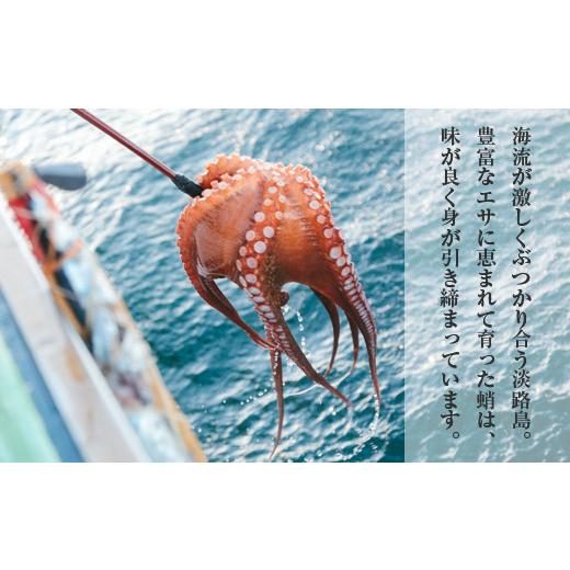 ふるさと納税 兵庫県 淡路市 淡路島産地蛸使用　生たこ飯　２合用×３袋セット