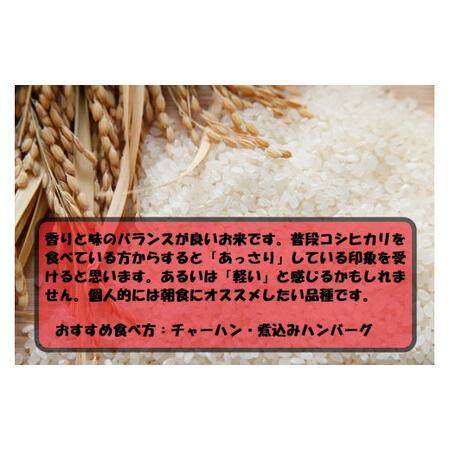 ふるさと納税 令和5年産 茨城あきたこまち 5kg 1袋 あきたこまち 白米 精米 ごはん お米 国産 茨城県産 守谷市 送料無料 茨城県守谷市