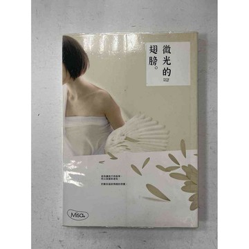 【雷根360免運】【送贈品】微光的翅膀 #九成新【P-C1738】