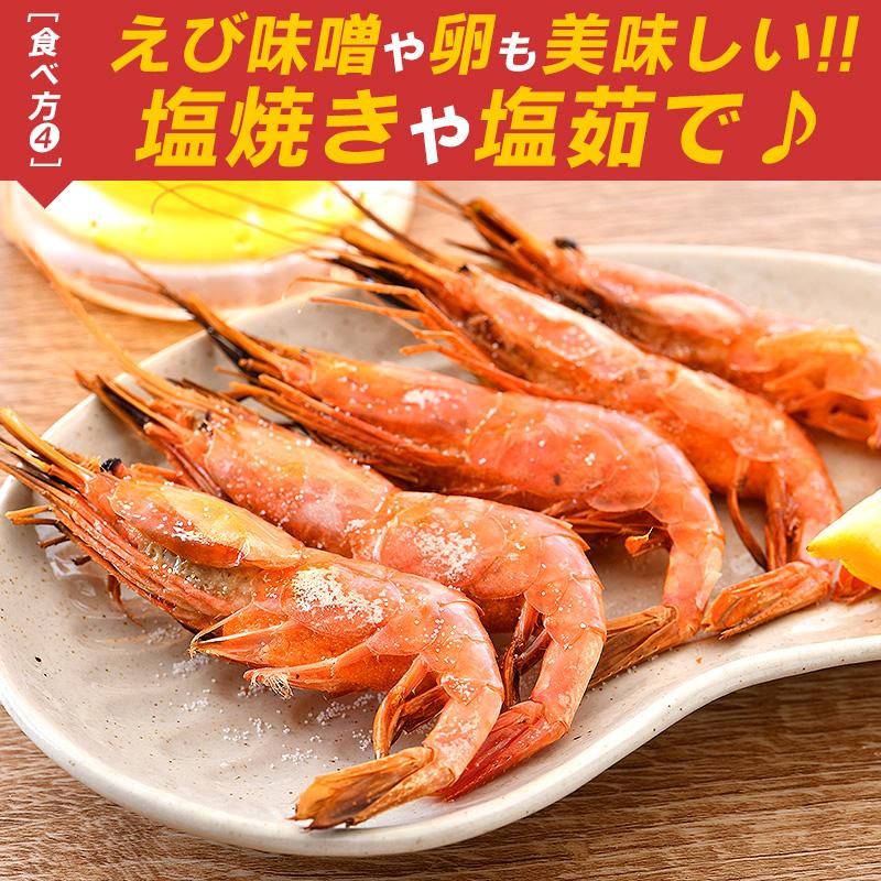 甘エビ 甘えび 特大 子持ち 刺身 1kg 500g×2箱 約60尾 冷凍 越前甘エビ 福井県 お歳暮 ギフト