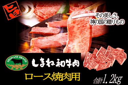 D-1034 しまね和牛 ロース(焼肉用) 1.2kg