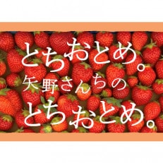 完熟とちおとめ　レギュラータイプ　4パック(1パックあたり9～15粒)