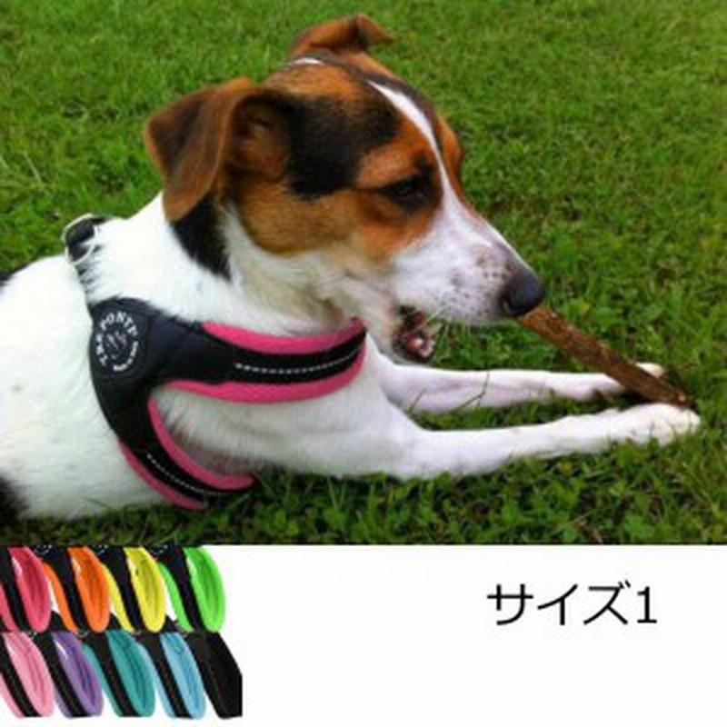 犬 ハーネス 小型犬用 トレ ポンティ Fibbia Soft Mesh フィッビア ソフトメッシュ 1サイズ 通販 Lineポイント最大1 0 Get Lineショッピング