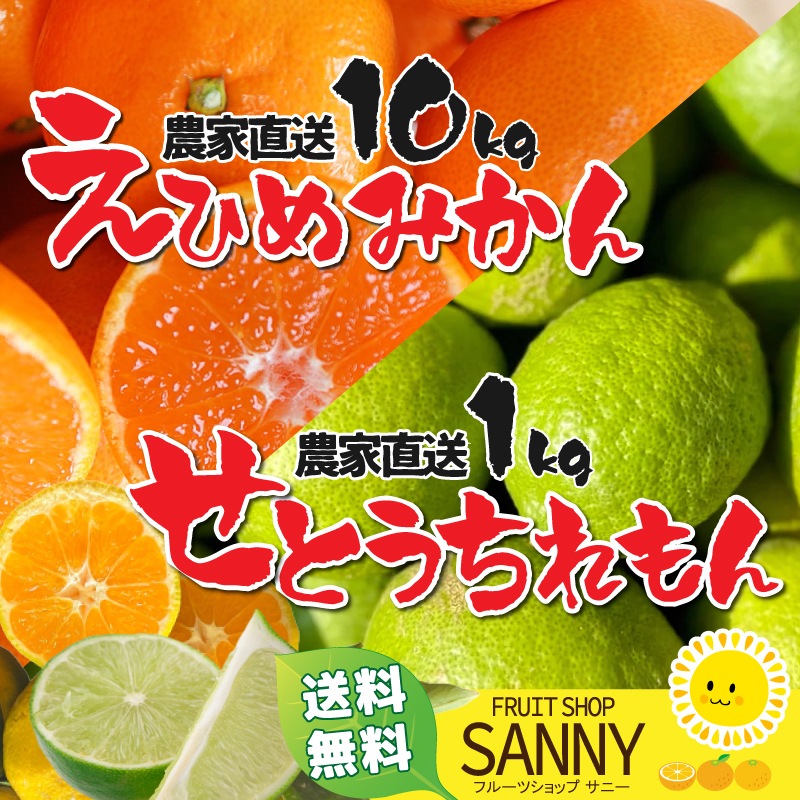 （特別セット）愛媛みかん10kg 瀬戸内レモン1kg　この時期しか買えない特別なセット