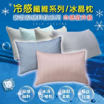 【DICK.FEER】簡約酷酷冰晶枕 兩入組(顏色隨機出貨)_廠商直送