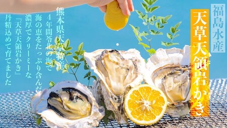 福島水産の天草天領岩かき 約1.5kg