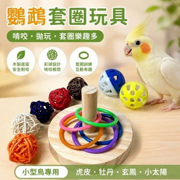 鸚鵡娛樂玩具 鸚鵡錶演玩具鸚鵡套圈啃咬鳥玩具虎皮牡丹玄鳳小太陽專用解悶解壓磨牙益智陪伴 鸚鵡玩具 toy 鸚鵡站架