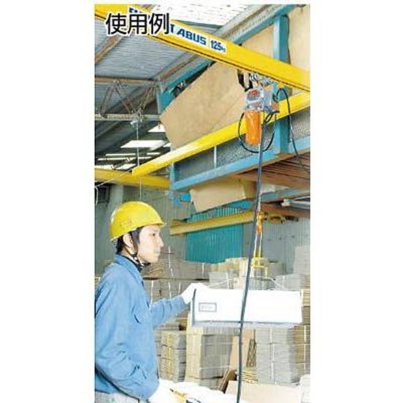 代引き不可 象印 ベータ型小型電気チェンブロック 定格荷重200KG 揚程