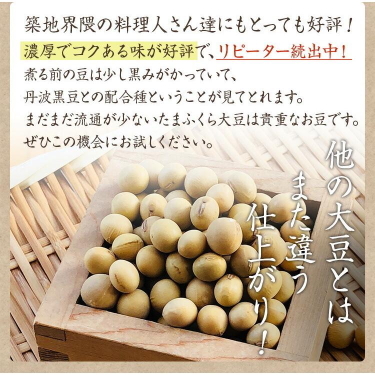 たまふくら 「800g」北海道産 大豆 令和4年産 茹でるだけでおいしい大豆 ※令和4年産は天候の影響により多少不揃いとなります。