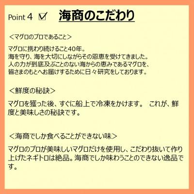 ふるさと納税 浜松市 海商のネギトロ　250g×4パック