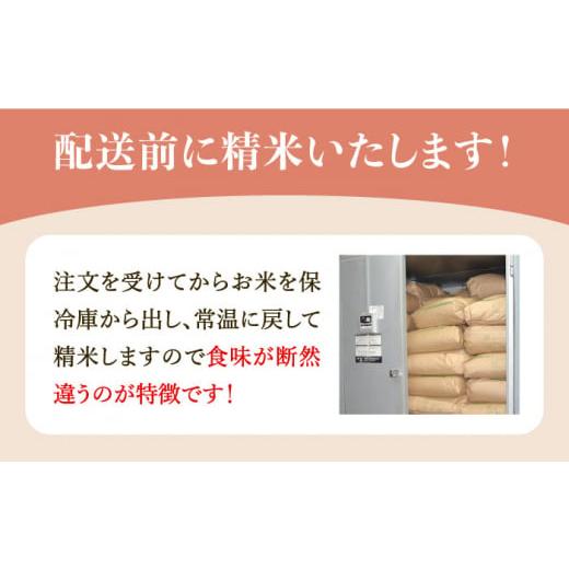 ふるさと納税 佐賀県 武雄市 令和5年産 新米 さがびより 5kg 配送指定可 配送前精米＜13年連続最高評価特A受賞＞ ／江口農園 [UBF007]