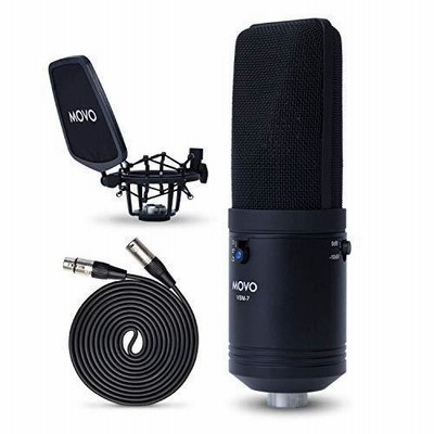 特別価格AKG Pro Audio P420 マルチパターン ラージダイヤフラム