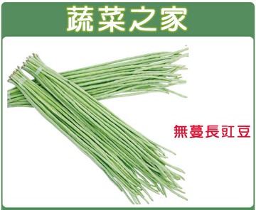 【蔬菜之家】E10.無蔓長豇豆(咖啡仁菜豆)種子(共有2種包裝可選)