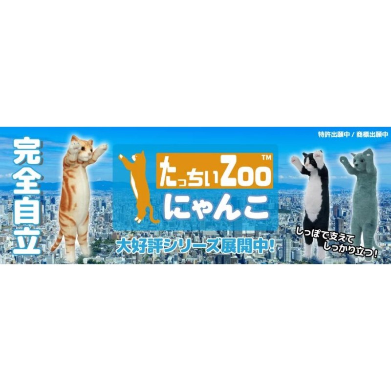 たっちぃZoo にゃんこ はちわれ たっちぃZOO ニャンコ ハチワレ☆株式