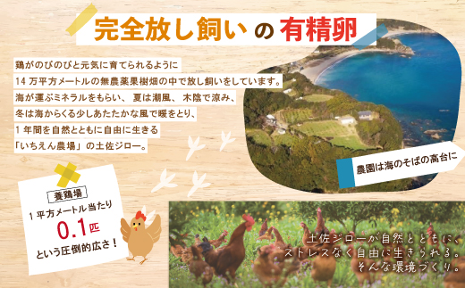 21-1015．濃厚でコクのある味わい！のびのび育った土佐ジローの自然卵40個（10個入り×4パック）