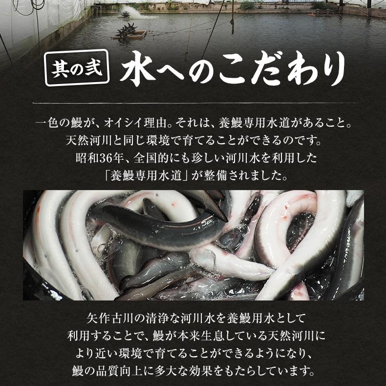 うなぎ蒲焼 国産 愛知県三河一色産 うなぎ 蒲焼き 長焼き 140g ウナギ 鰻