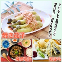 野菜 夏野菜 なすび  千両茄子 約 2kg 朝どれ 産地直送 徳島県 阿波市
