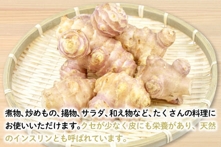 農薬化学肥料不使用の紫菊芋　5kg