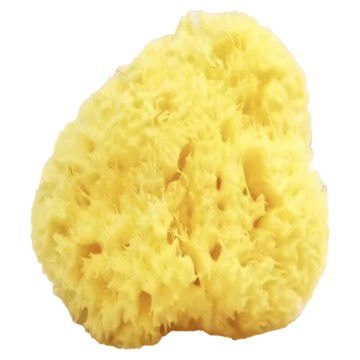 nIZio 希臘天然蜂巢海棉 特大型  黃色  1個