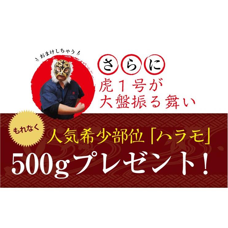 大人のハッピーセット メバチ マグロ 赤身 1.5kg ハラモ 500g 刺身 お取り寄せ グルメ ギフト まぐろ 鮪