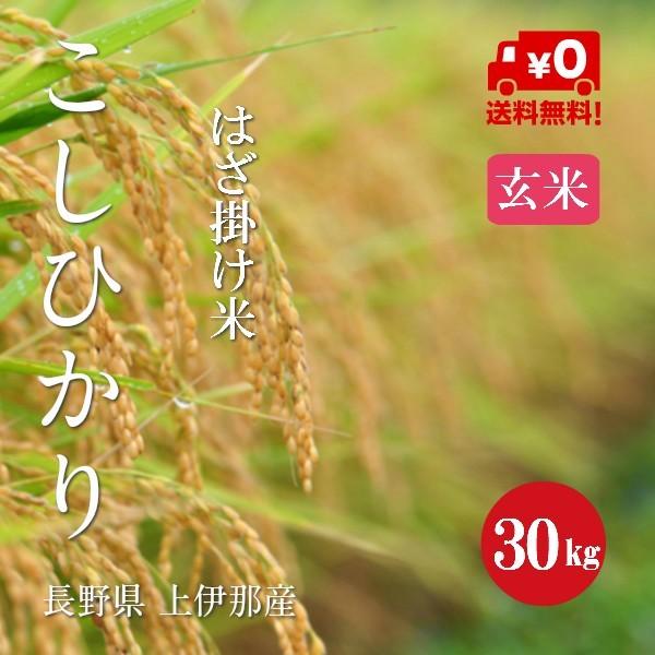 新米 令和５年産 長野県産 こしひかり「はざ掛け米」 １等米 玄米 ３０kg