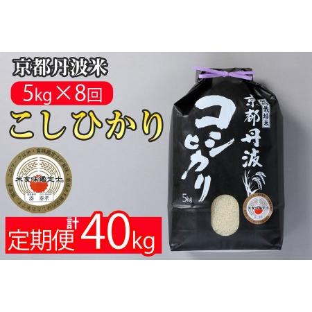 ふるさと納税 訳あり 定期便 新米 5kg 8ヶ月 京都丹波米 こしひかり 白米 8回定期便 5kg×8回 計40kg ※精米したてをお届け 《緊急支援 米・.. 京都府亀岡市