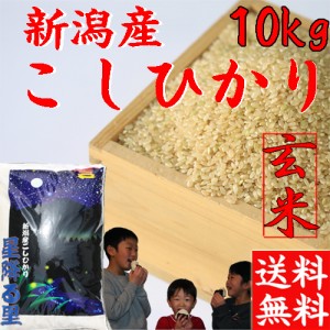 新米 玄米 10kg 送料無料 令和5年産 新潟産 コシヒカリ 玄米10キロ 送料無料 お米 10kg こしひかり 10キロ 玄米10キロ 送料無料 農家直送