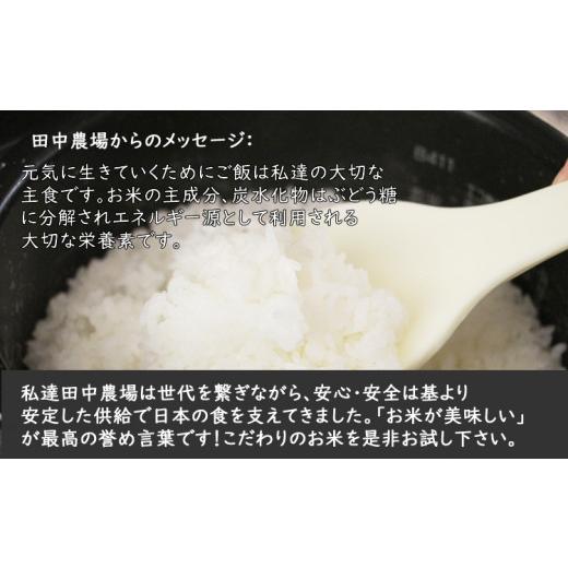 ふるさと納税 佐賀県 小城市 味試し！さがびより20合（３ｋｇ）田中農場 特別栽培米（玄米） 令和5年度産