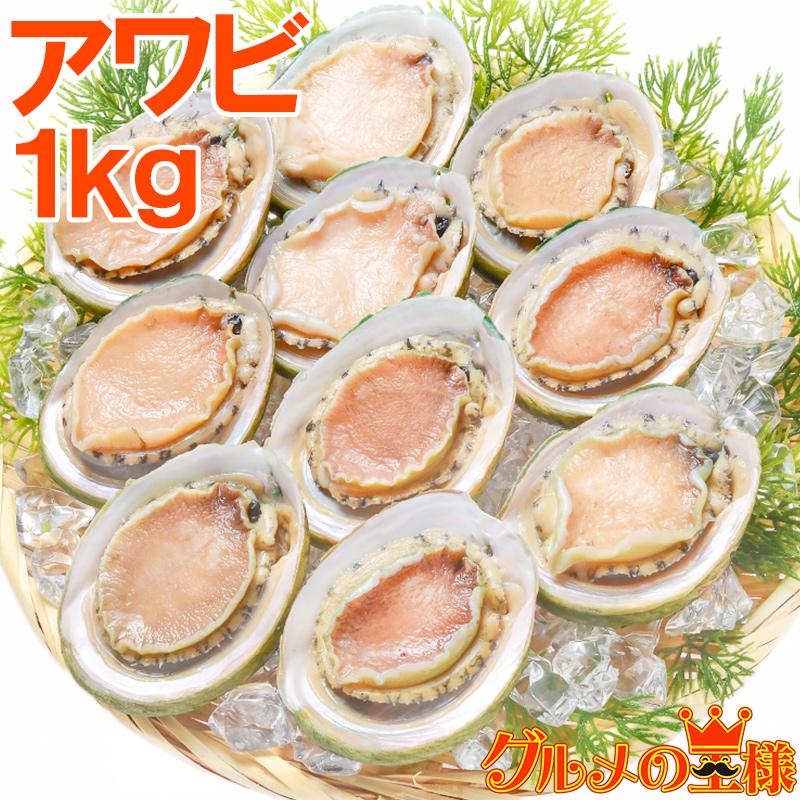 あわび Lサイズ 1kg 1箱12個入り(殻つきお刺身用アワビ 翡翠の瞳)