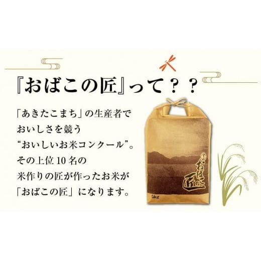 ふるさと納税 秋田県 大仙市 秋田県産おばこの匠あきたこまち　15kg （5kg×3袋）玄米