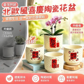 🚀臺灣熱銷🚀北歐風花盆陶瓷ins大號蝴蝶蘭鈴蘭花桌面盆栽現代風透氣喜慶盆景