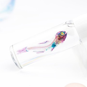 透明標本 燈籠魚 魚類標本 台灣海洋生物