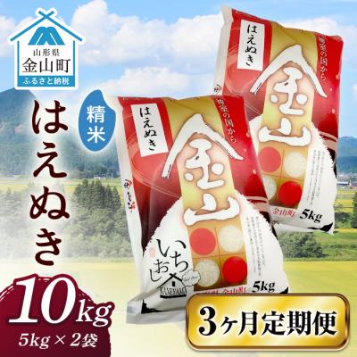 ふるさと納税 金山町 2023年産米 定期便 金山産米 はえぬき(5kg×2袋)×3ヶ月 定期便 F4B-0358