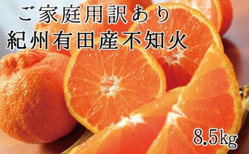 紀州有田産不知火(しらぬひ) 約8.5kg ※2024年2月上旬頃～2024年3月下旬頃に順次発送予定(お届け日指定不可)