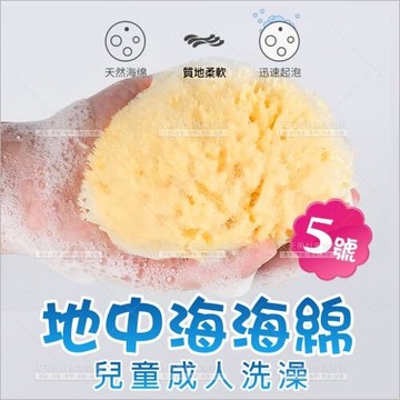 洗臉超潔淨地中海天然海綿-單入(5號)[90200] 兒童/成人洗澡適用