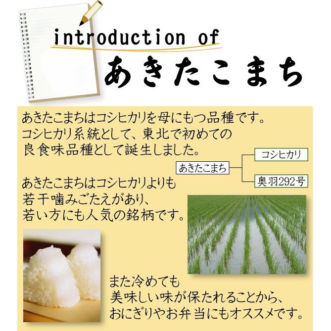 特価 ポイント3倍 新米 令和5年産 無洗米 5kg×2 あきたこまち 10kg 山形県産 お米 送料無料（SL）