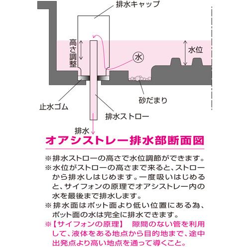 底面給水 オアシストレー イチゴ栽培 炭疽病 サンポリ