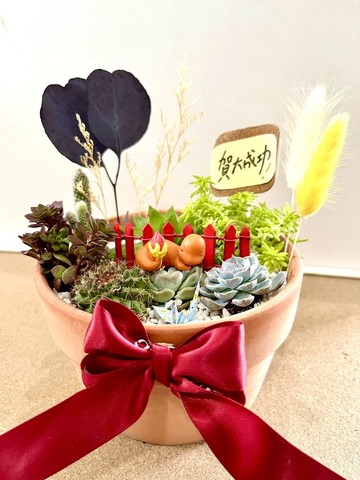 多肉組盆 寶可夢 小火龍 微景觀 多肉盆栽 神奇寶貝 客製化 生日