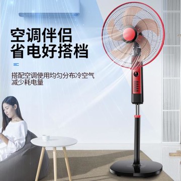 定時電風扇 立式落地扇家用靜音搖頭風扇辦公室家電批發