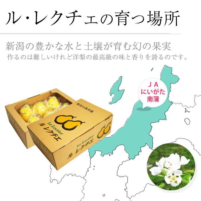 洋梨 新潟県産 ルレクチェ 良品 約2kg 5〜7玉